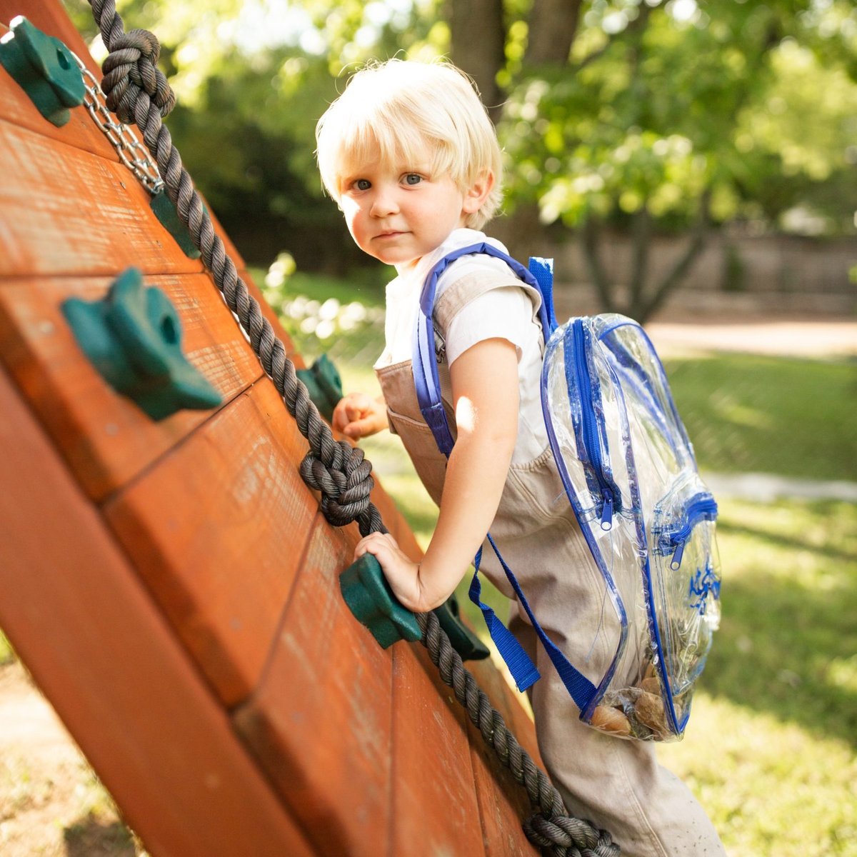 Parent Guides & Kid Film Reviews to Help Families Choose What to